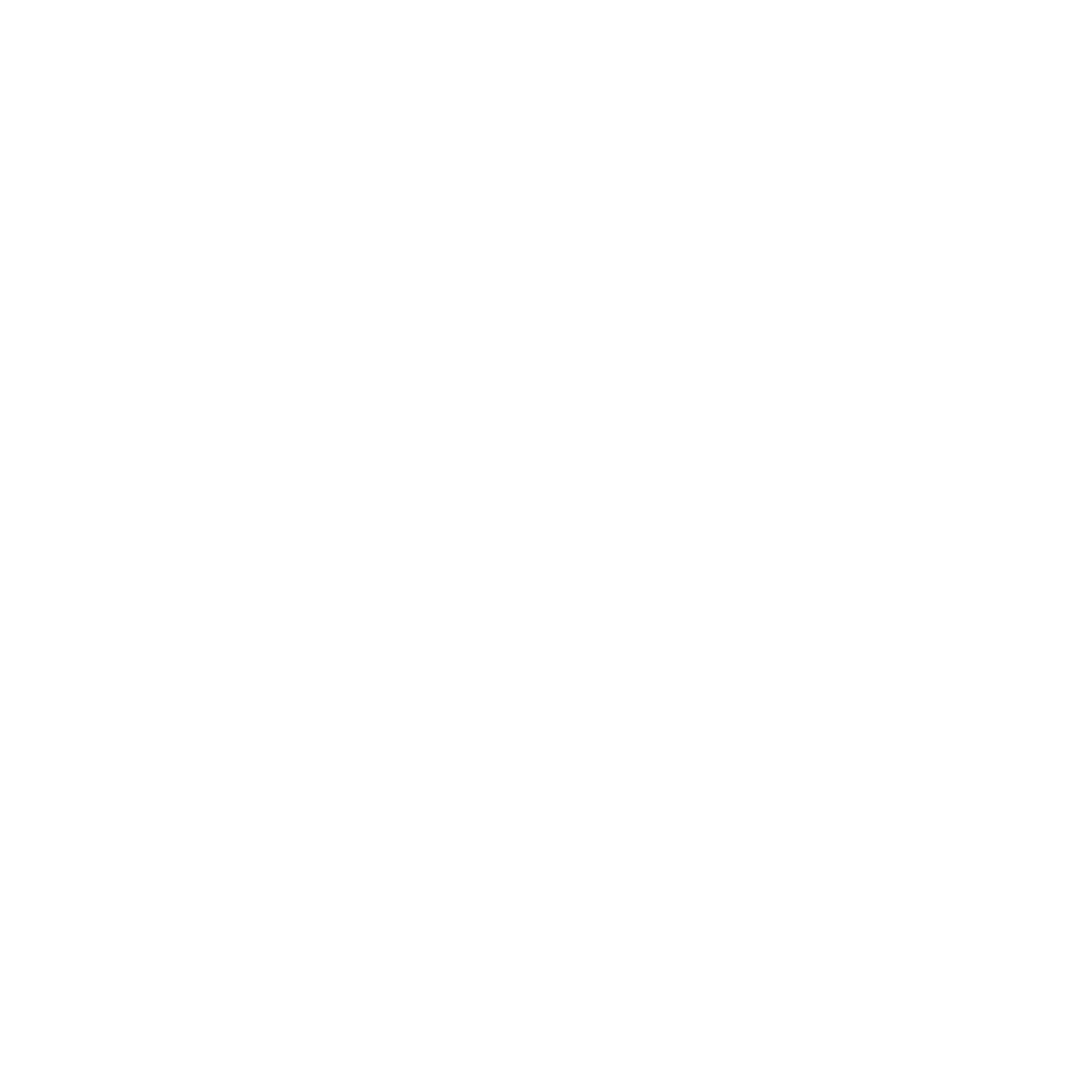Flashy the stegosaurus carrying flash cards